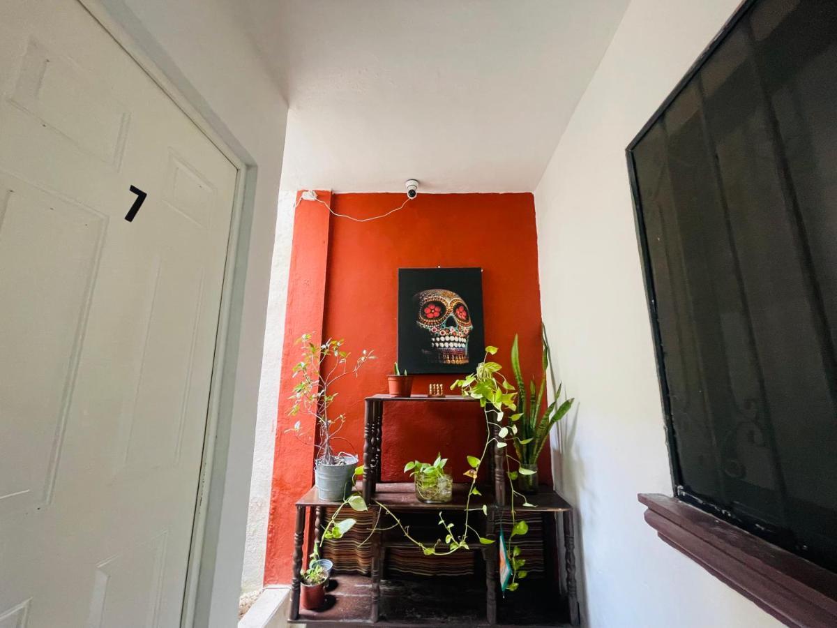 פלאייה דל כרמן Calaveritas Rooms מראה חיצוני תמונה